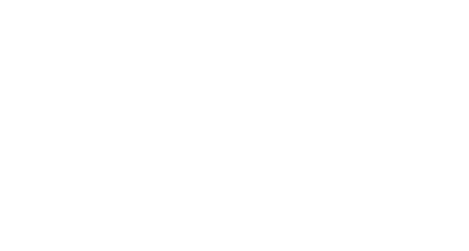 next-day-shipping